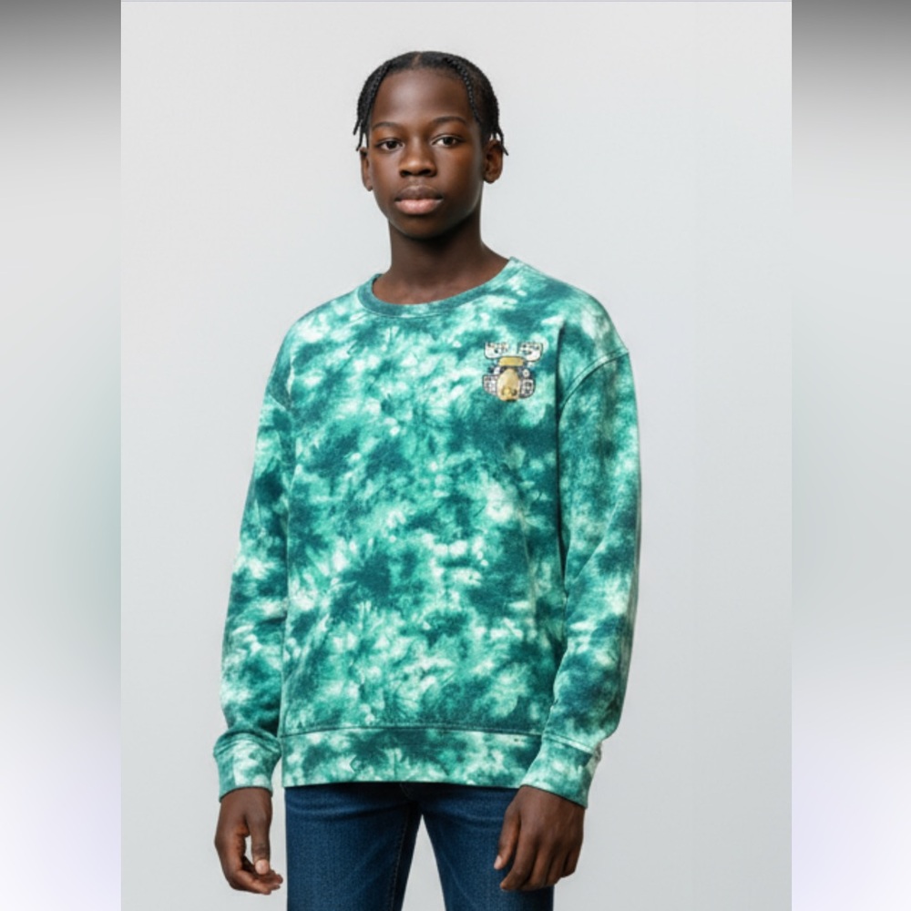 Abercrombie Kids Boys Tie Dye‎ Moose Sweatshirt size 9/10